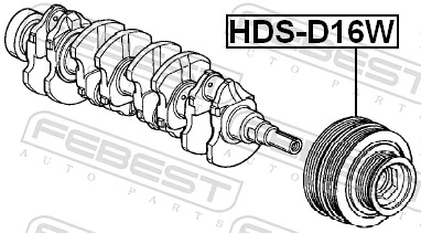 HDSD16W Febest Polia de cambota