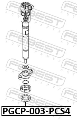 9646510980 Fiat/Alfa/Lancia Anel (arruela) do injetor de ajuste