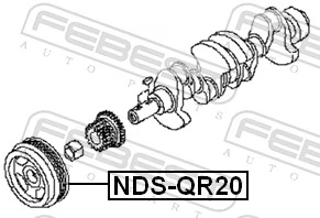 NDSQR20 Febest Polia de cambota
