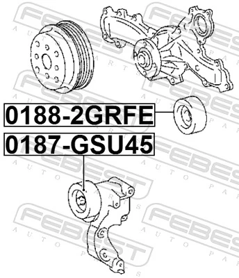 01882GRFE Febest Rolo parasita da correia de transmissão