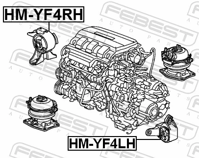 HMYF4RH Febest Coxim (suporte) direito de motor