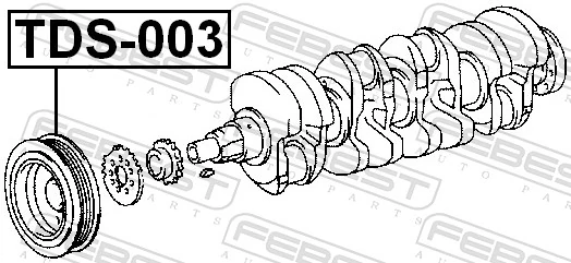 TDS003 Febest Polia de cambota