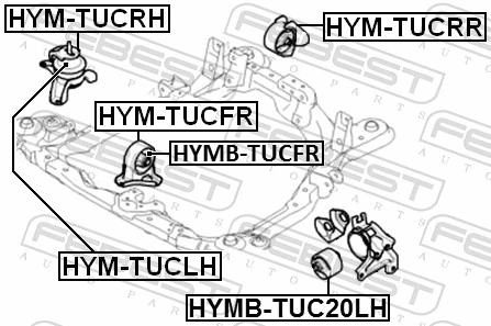 HYMBTUCFR Febest Coxim (suporte) dianteiro de motor (bloco silencioso)