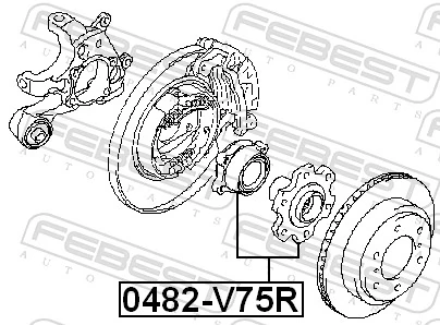 0482V75R Febest Cubo traseiro
