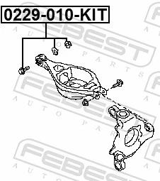 0229010KIT Febest Parafuso de fixação do braço oscilante inferior traseiro, interno