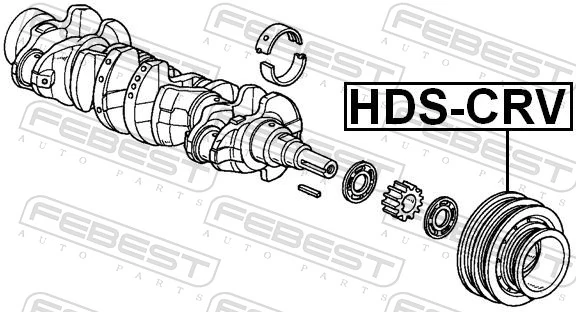 HDSCRV Febest Polia de cambota