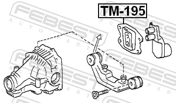 TM195 Febest Bloco silencioso (coxim) traseiro de redutor do eixo traseiro
