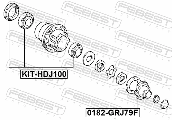 KITHDJ100 Febest Rolamento interno de cubo traseiro