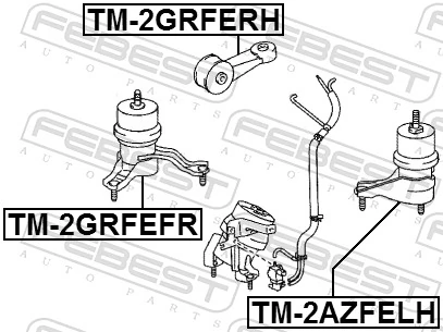 TM2GRFEFR Febest Coxim (suporte) direito de motor