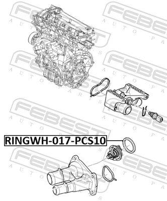  Vedante de termostato Ford Fiesta Mk6 hatchback (CB1) (2008 - 2016) Mk6