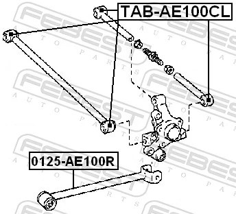TABAE100CL Febest Bloco silencioso da barra Panhard (de suspensão traseira)