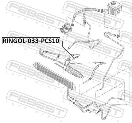 497506724R Nissan/Infiniti Anel de vedação dos tubos de ligação da cremalheira da direção