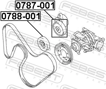 0788001 Febest Rolo parasita da correia de transmissão