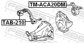 TMACA20DM Febest Bloco silencioso (coxim) traseiro de redutor do eixo traseiro