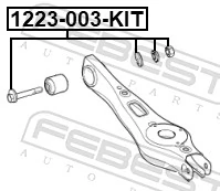 1229003KIT Febest Parafuso de fixação do braço oscilante inferior traseiro, interno