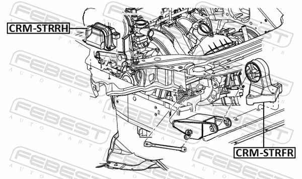 CRMSTRRH Febest Coxim (suporte) direito de motor