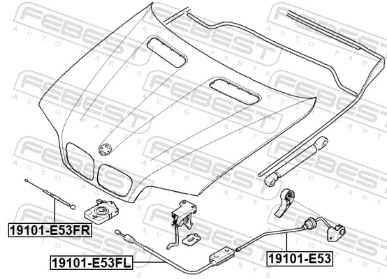  Cabo de abertura da capota BMW X5 SUV (E53) (2000 - 2006) 