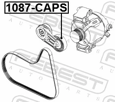 1087CAPS Febest