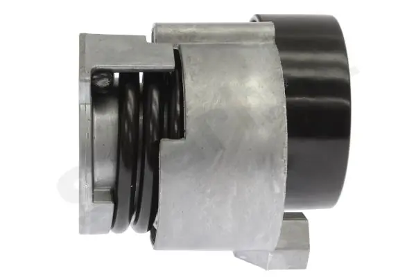 Rolo de reguladora de tensão da correia de transmissão Renault Kangoo II FW0