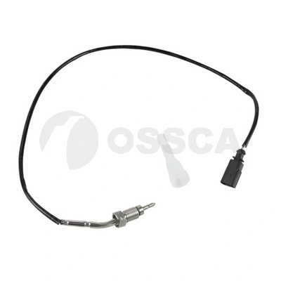 55765 Ossca