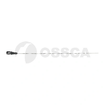 53691 Ossca