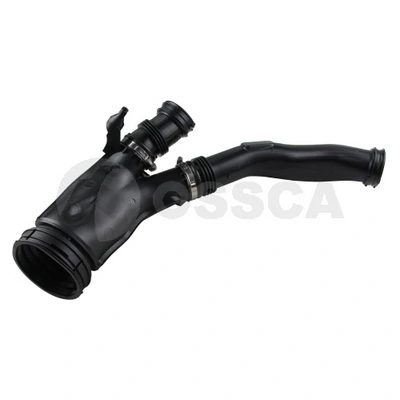 56380 Ossca