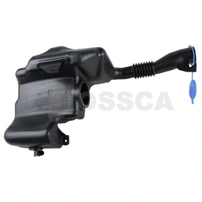 56255 Ossca