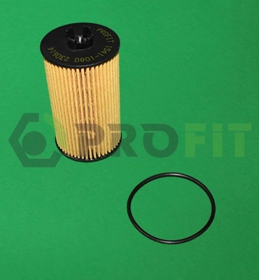 Filtro de óleo General Motors 0650173