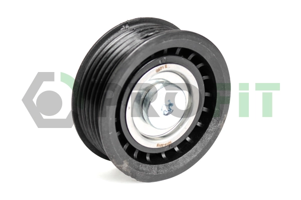 RC8000 Polcar Rolo parasita da correia de transmissão