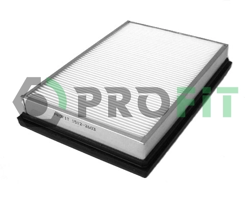 F8B313Z40 Hyundai/Kia Filtro de ar