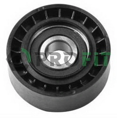 Rolo parasita da correia de transmissão CX1000 Polcar