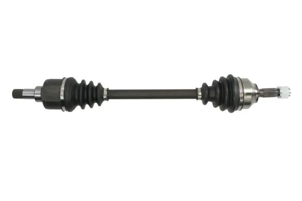 G2P045PC Pascal