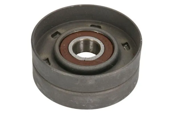 Rolo de reguladora de tensão da correia de transmissão DAF 105 XF 