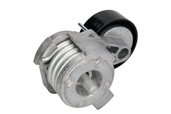  Rolo de reguladora de tensão da correia de transmissão BMW X1 SUV (E84) (2009 - 2015) 