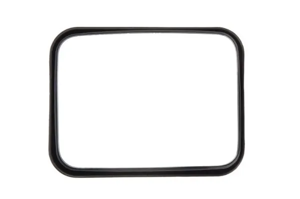 Compre ZL0161001H Starline Espelho da zona morta