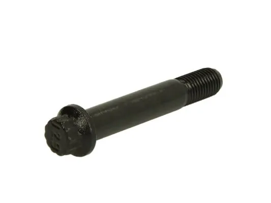 1011907 Schmitz Parafuso do freio de suporte