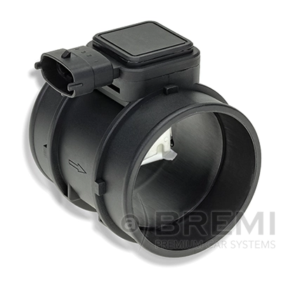 30376 Bremi