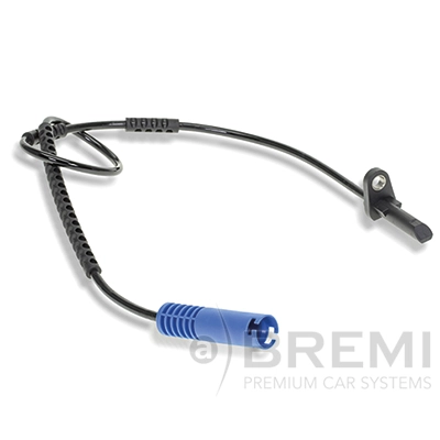 51617 Bremi