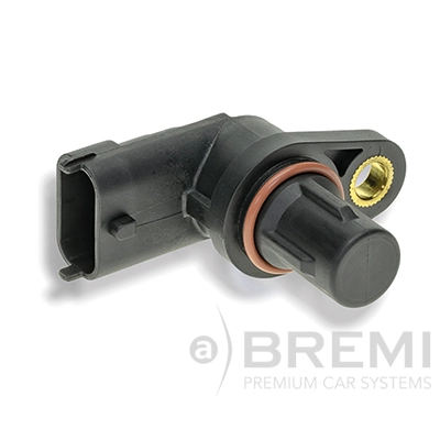 60009 Bremi