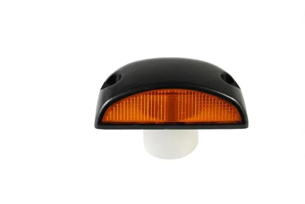 Compre 7421103284 Renault (RVI) Posição (pisca-pisca)
