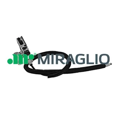 37252 Miraglio