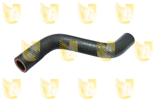 P2079 Unigom