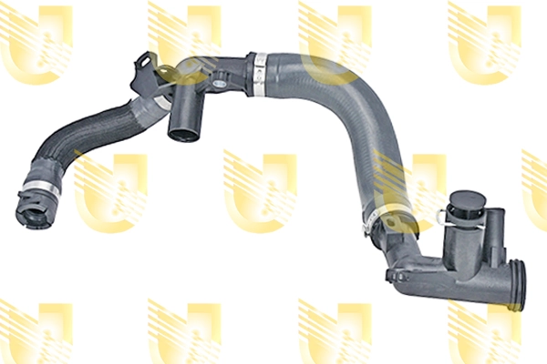 P2124 Unigom