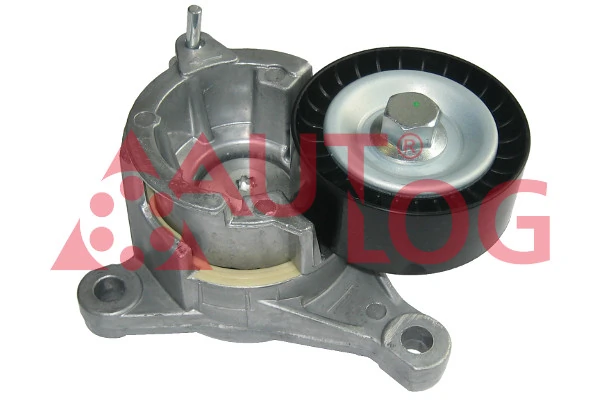 Compre Reguladora de tensão da correia de transmissão Peugeot 206 