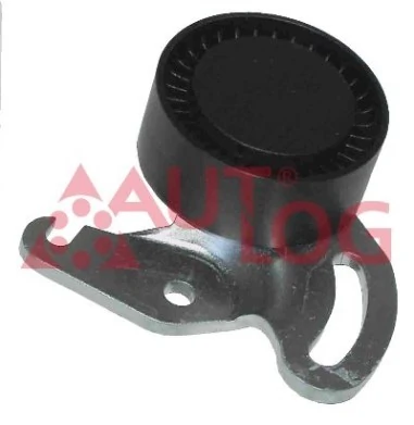  Rolo de reguladora de tensão da correia de transmissão Renault Clio II hatchback (BB, CB) (1998 - 2010) II