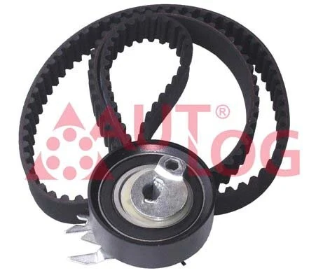 Correia do mecanismo de distribuição de gás, kit Volkswagen Polo III 6NF
