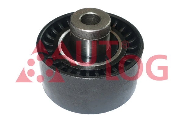 Rolo parasita da correia de transmissão Peugeot 207  WA, WC