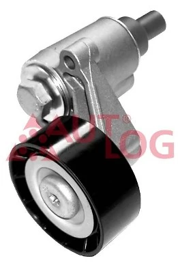 Reguladora de tensão da correia de transmissão para Citroen ZX  N2