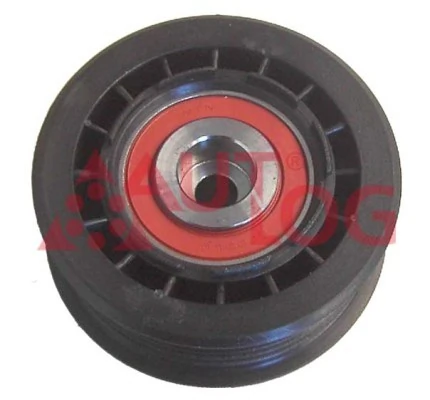 6652003170 Hyundai/Kia Rolo parasita da correia de transmissão