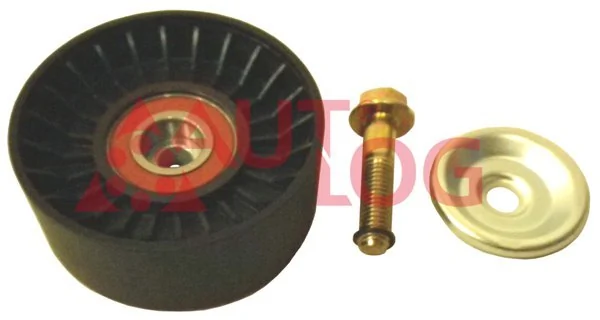 Rolo parasita da correia de transmissão 331316171336 Magneti Marelli